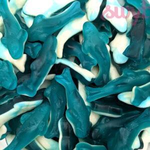 Blauwe haaien