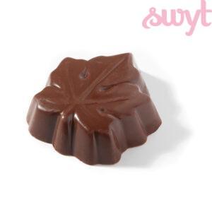 Pure chocolade bonbon met tiramisu vulling